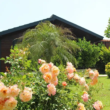 Cirali Villa's Willa *
