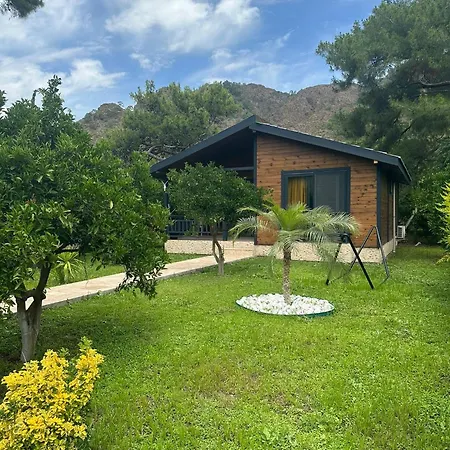 Villa çıralı Villa's *