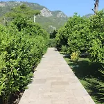 Cirali 2