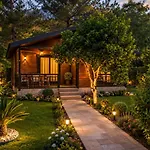Cirali 2 *